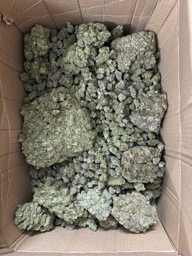 Lật tẩy đường dây cần sa 'trá hình' dưới vỏ bọc bánh kẹo, thuốc lá điện tử- Ảnh 1. Lật tẩy đường dây cần sa 'trá hình' dưới vỏ bọc bánh kẹo, thuốc lá điện tử- Ảnh 1.