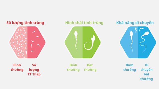 Những yếu tố ảnh hưởng đến chất lượng tinh trùng- Ảnh 1.