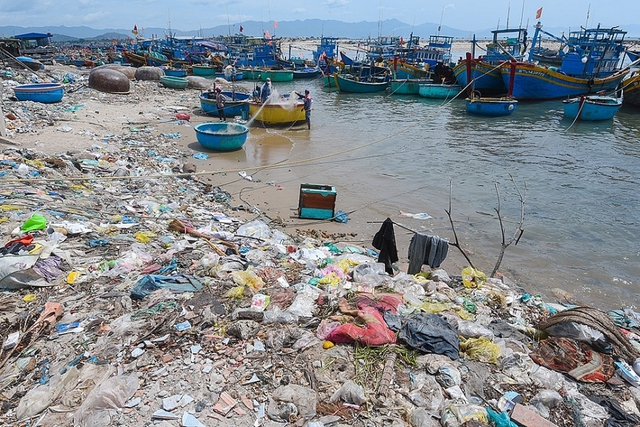 Ngày Môi trường thế giới năm 2025: Tài nguyên đa dạng sinh học biển có thể biến mất nếu không hạn chế rác thải nhựa- Ảnh 2. Ngày Môi trường thế giới năm 2025: Tài nguyên đa dạng sinh học biển có thể biến mất nếu không hạn chế rác thải nhựa- Ảnh 2.