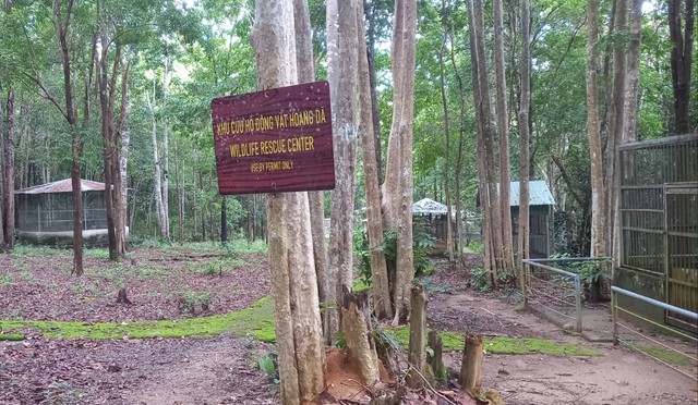 Nơi ‘nghỉ dưỡng’ của động vật quý hiếm ở Tây Nguyên có gì đặc biệt?- Ảnh 6. Nơi ‘nghỉ dưỡng’ của động vật quý hiếm ở Tây Nguyên có gì đặc biệt?- Ảnh 6.
