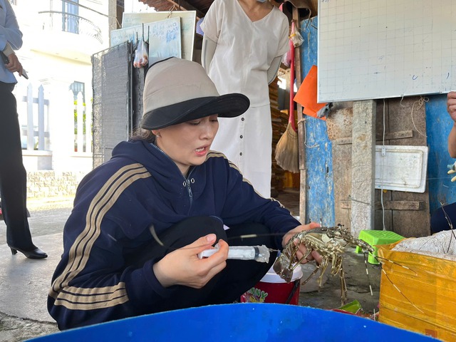 Một tiểu thương bơm thạch rau câu vào tôm hùm chết nhằm tăng trọng lượng bán kiếm lời- Ảnh 1.