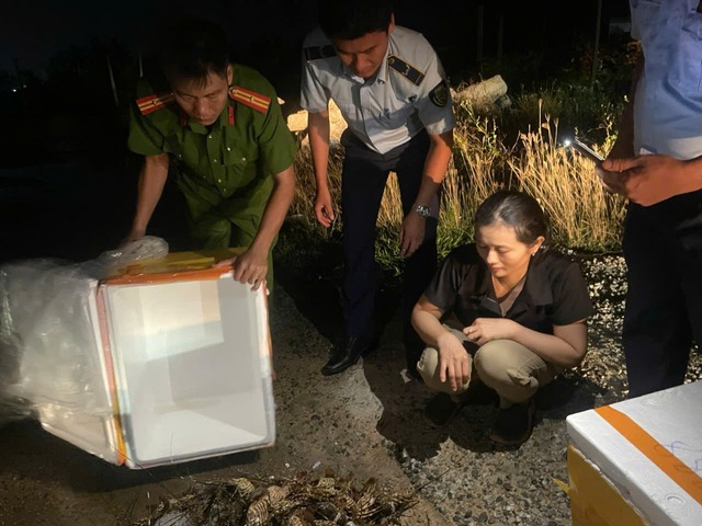 Một tiểu thương bơm thạch rau câu vào tôm hùm chết nhằm tăng trọng lượng bán kiếm lời- Ảnh 3.