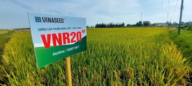 Chuyện nông dân 'thuê ruộng' bỏ hoang để khởi nghiệp và hướng đi mới cho nông nghiệp Ninh Giang- Ảnh 2. Chuyện nông dân 'thuê ruộng' bỏ hoang để khởi nghiệp và hướng đi mới cho nông nghiệp Ninh Giang- Ảnh 2.