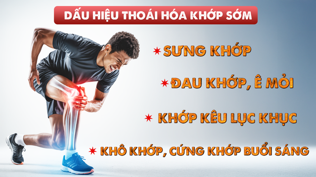 Tiếp cận sớm trong xử lý thoái hóa khớp sớm - Liệu pháp miễn dịch dung nạp đường uống với collagen Collavant® n2- Ảnh 1.