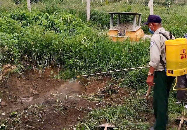 Phát hiện lợn có chấm đỏ, biểu hiện bệnh tích tại lò mổ ở Huế- Ảnh 1. Phát hiện lợn có chấm đỏ, biểu hiện bệnh tích tại lò mổ ở Huế- Ảnh 1.