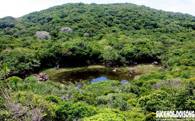 Mê mẩn vẻ đẹp ‘tuyệt đối điện ảnh’ ở Vườn quốc gia Núi Chúa- Ảnh 4. Mê mẩn vẻ đẹp ‘tuyệt đối điện ảnh’ ở Vườn quốc gia Núi Chúa- Ảnh 4.
