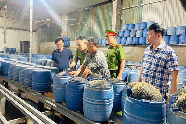 Truy tố cặp vợ chồng sản xuất hàng trăm tấn giá đỗ bằng hóa chất độc hại- Ảnh 2. Truy tố cặp vợ chồng sản xuất hàng trăm tấn giá đỗ bằng hóa chất độc hại- Ảnh 2.