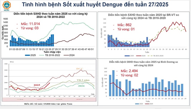 TPHCM: Sốt xuất huyết gia tăng báo động, 6 ca tử vong- Ảnh 1.