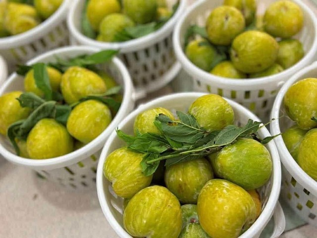 Loại quả lạ có tên mận cau giá 450.000 đồng/kg vẫn hút khách- Ảnh 3. Loại quả lạ có tên mận cau giá 450.000 đồng/kg vẫn hút khách- Ảnh 3.