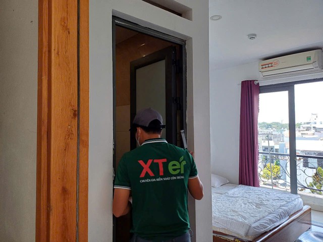 Tổ mối trong nhà - nỗi lo âm thầm trong tổ ấm nhỏ- Ảnh 2. Tổ mối trong nhà - nỗi lo âm thầm trong tổ ấm nhỏ- Ảnh 2.