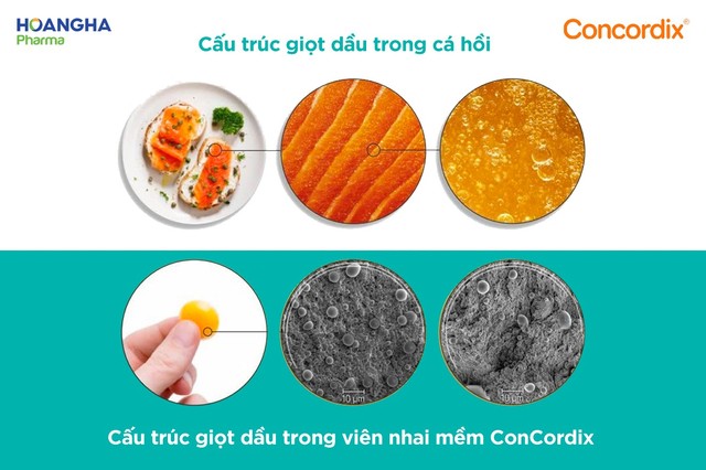 ConCordix© - Công nghệ tăng hấp thu DHA/EPA hiệu quả từ Na Uy- Ảnh 1. ConCordix© - Công nghệ tăng hấp thu DHA/EPA hiệu quả từ Na Uy- Ảnh 1.
