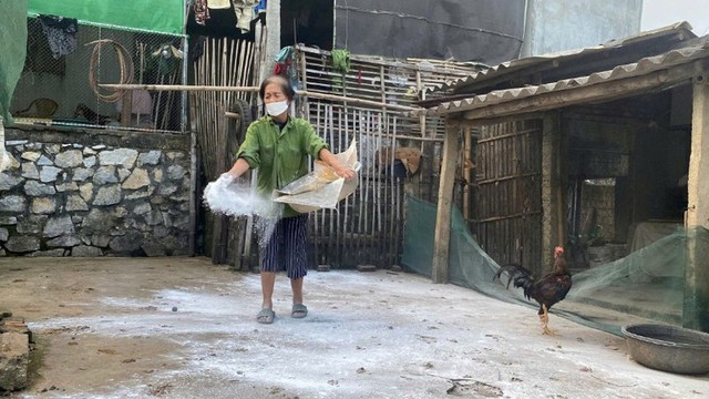 Xuất hiện tình trạng bán tháo lợn bệnh khi dịch tả lợn châu Phi lan rộng- Ảnh 1. Xuất hiện tình trạng bán tháo lợn bệnh khi dịch tả lợn châu Phi lan rộng- Ảnh 1.