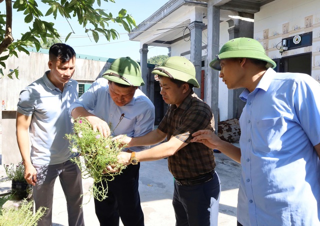 Hà Tĩnh xuất hiện ổ dịch sốt xuất huyết đầu tiên trong năm- Ảnh 2.