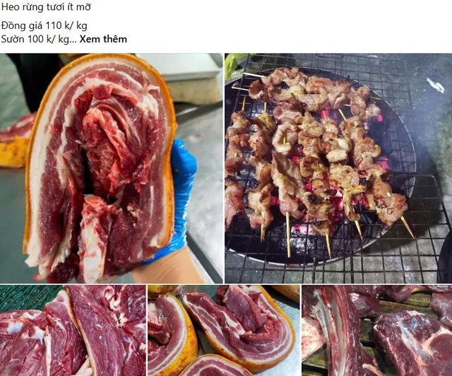 Mua thịt lợn rừng nuôi qua mạng: Rẻ chưa chắc đã 'sạch'- Ảnh 1.