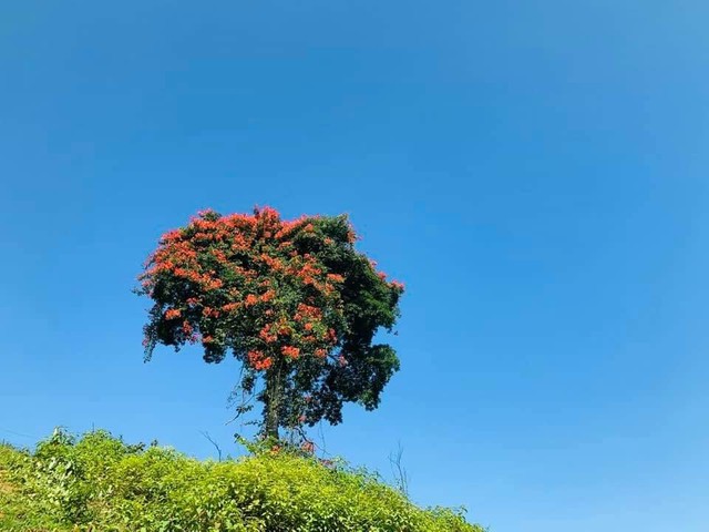 Vẻ đẹp hoang sơ của 'viên ngọc xanh' ở Hà Tĩnh- Ảnh 14.