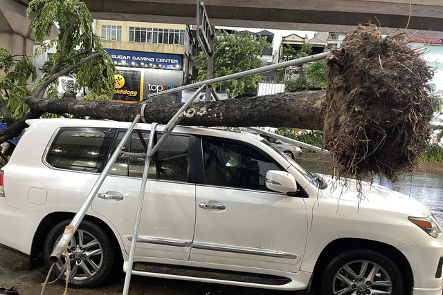 Ai sẽ phải chịu trách nhiệm khi cây đổ đè trúng ô tô sau dông lớn?- Ảnh 1.