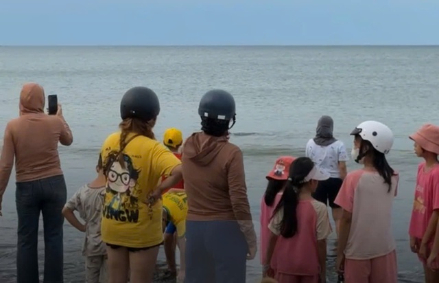 Video người dân thích thú xem cá heo bơi lượn tại bãi biển Cửa Tùng- Ảnh 2.
