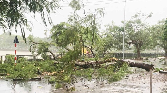 Chuyên gia cảnh báo mưa dông dài ngày do hoàn lưu bão số 3- Ảnh 2. Chuyên gia cảnh báo mưa dông dài ngày do hoàn lưu bão số 3- Ảnh 2.