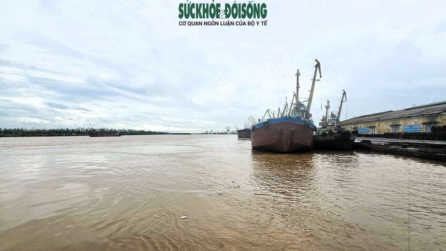 Nước vùng cửa sông ven biển dâng cao vượt mức lịch sử, hàng loạt điểm có nguy cơ sạt lở- Ảnh 2. Nước vùng cửa sông ven biển dâng cao vượt mức lịch sử, hàng loạt điểm có nguy cơ sạt lở- Ảnh 2.