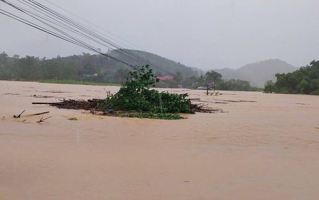 Hơn 300 người xuyên đêm gia cố đê sông Tam Điệp- Ảnh 4. Hơn 300 người xuyên đêm gia cố đê sông Tam Điệp- Ảnh 4.