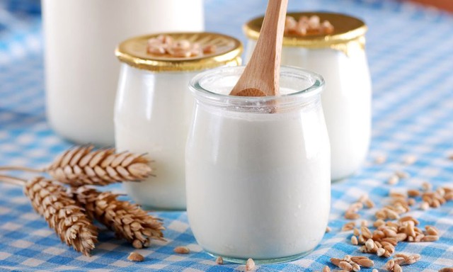 6 loại đồ uống probiotic giúp đường ruột khỏe mạnh hơn- Ảnh 2. 6 loại đồ uống probiotic giúp đường ruột khỏe mạnh hơn- Ảnh 2.