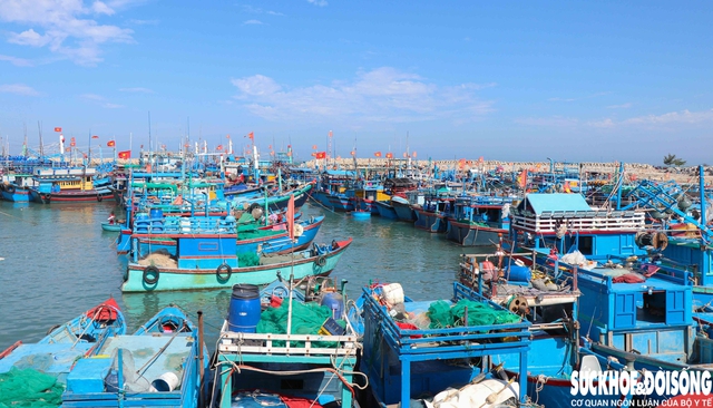 Mất tiền triệu mỗi lần cập cảng, ngư dân Khánh Hòa chờ được 'giải cứu'- Ảnh 1. Mất tiền triệu mỗi lần cập cảng, ngư dân Khánh Hòa chờ được 'giải cứu'- Ảnh 1.