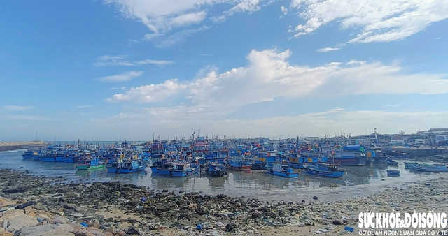 Mất tiền triệu mỗi lần cập cảng, ngư dân Khánh Hòa chờ được 'giải cứu'- Ảnh 3. Mất tiền triệu mỗi lần cập cảng, ngư dân Khánh Hòa chờ được 'giải cứu'- Ảnh 3.
