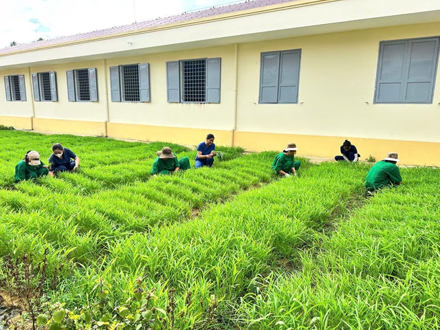 Dạy nghề, dạy văn hóa cho người bệnh tâm thần để giúp họ tái hòa nhập cộng đồng- Ảnh 2. Dạy nghề, dạy văn hóa cho người bệnh tâm thần để giúp họ tái hòa nhập cộng đồng- Ảnh 2.