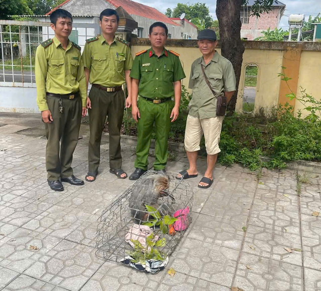 Khỉ quý hiếm nhiều lần đột nhập nhà dân phá hoại tài sản- Ảnh 1.