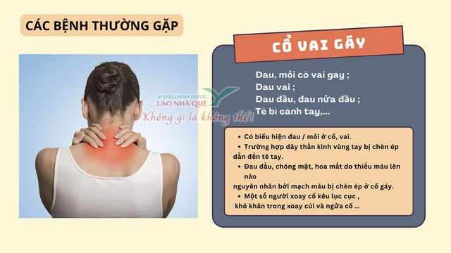 Đau vai gáy dai dẳng - cảnh báo thoái hóa đốt sống cổ từ thói quen xấu- Ảnh 1. Đau vai gáy dai dẳng - cảnh báo thoái hóa đốt sống cổ từ thói quen xấu- Ảnh 1.