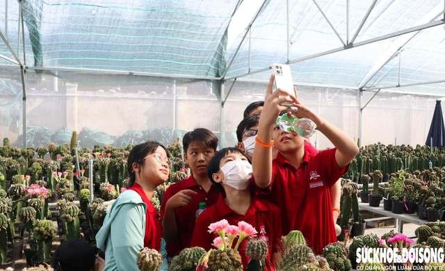 Chàng trai 9X lai tạo giống xương rồng với hàng trăm màu rực rỡ- Ảnh 4.