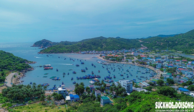 Những cung đường biển tuyệt đẹp ở Khánh Hòa, nhìn là muốn đến ngay- Ảnh 9. Những cung đường biển tuyệt đẹp ở Khánh Hòa, nhìn là muốn đến ngay- Ảnh 9.