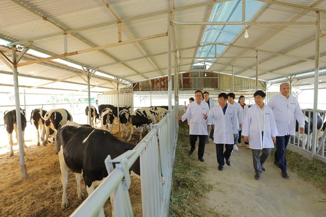 Sữa tươi sạch: Lựa chọn vì tầm vóc dân tộc và nền nông nghiệp tự chủ- Ảnh 4.