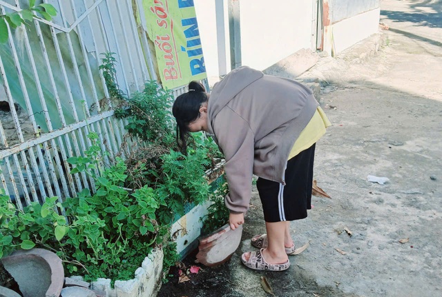 Phụ huynh hướng dẫn con diệt lăng quăng phòng sốt xuất huyết trong dịp hè- Ảnh 2. Phụ huynh hướng dẫn con diệt lăng quăng phòng sốt xuất huyết trong dịp hè- Ảnh 2.