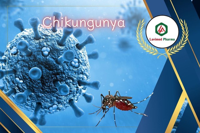 Cảnh báo bệnh Chikungunya do muỗi Aedes: gây sốt cao, đau và viêm khớp- Ảnh 1. Cảnh báo bệnh Chikungunya do muỗi Aedes: gây sốt cao, đau và viêm khớp- Ảnh 1.