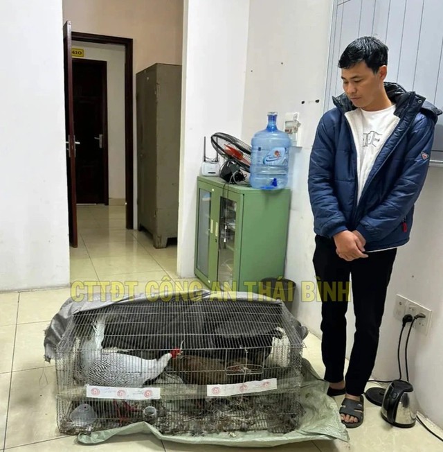 Vụ 'Gà lôi trắng': VKSND Hưng Yên kháng nghị bản án sơ thẩm, đề nghị thay đổi biện pháp ngăn chặn- Ảnh 1. Vụ 'Gà lôi trắng': VKSND Hưng Yên kháng nghị bản án sơ thẩm, đề nghị thay đổi biện pháp ngăn chặn- Ảnh 1.
