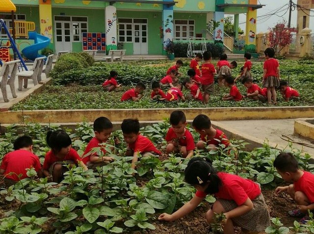 Đánh giá tác động của mô hình 'Vườn rau dinh dưỡng' đến tình trạng thiếu vi chất ở trẻ em dân tộc thiểu số- Ảnh 3. Đánh giá tác động của mô hình 'Vườn rau dinh dưỡng' đến tình trạng thiếu vi chất ở trẻ em dân tộc thiểu số- Ảnh 3.