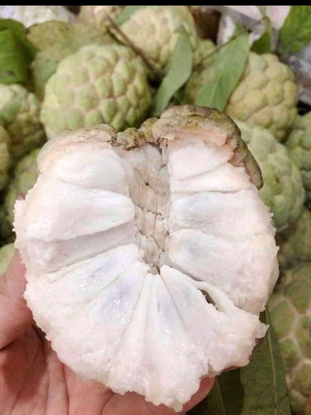 Na Lạng Sơn vào mùa, bà nội trợ Hà thành rộn ràng 'săn' đặc sản- Ảnh 4.