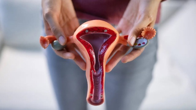 Nỗi ám ảnh viêm phụ khoa tái phát- Ảnh 2. Nỗi ám ảnh viêm phụ khoa tái phát- Ảnh 2.