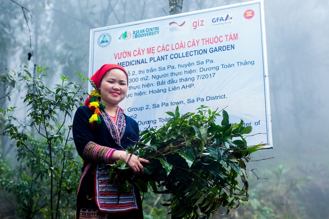 Dược liệu bản địa kết hợp làm du lịch: Hướng đi mới ở Lào Cai- Ảnh 1. Dược liệu bản địa kết hợp làm du lịch: Hướng đi mới ở Lào Cai- Ảnh 1.