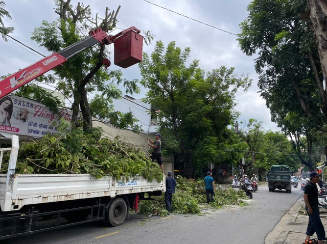 Nông dân Huế xuyên đêm gặt lúa ứng phó bão số 5- Ảnh 5. Nông dân Huế xuyên đêm gặt lúa ứng phó bão số 5- Ảnh 5.
