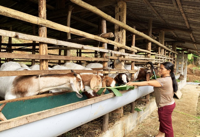 Cao Bằng quyết tâm xóa nhà tạm, nhà dột nát- Ảnh 2. Cao Bằng quyết tâm xóa nhà tạm, nhà dột nát- Ảnh 2.