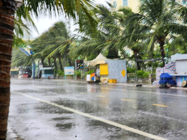 Thanh Hóa mưa trắng trời, gió rít từng cơn trước giờ bão đổ bộ- Ảnh 8. Thanh Hóa mưa trắng trời, gió rít từng cơn trước giờ bão đổ bộ- Ảnh 8.