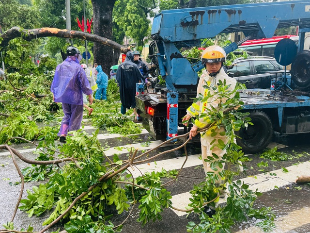 Hà Nội: Cây cổ thụ bật gốc đè trúng 2 ô tô đang lưu thông - Ảnh 4.