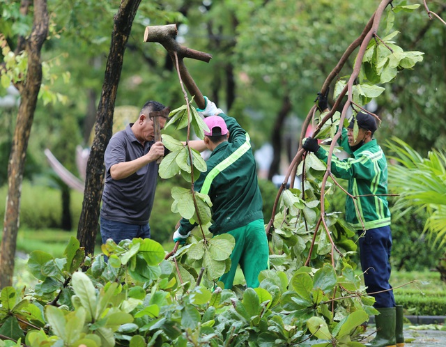 Nỗ lực giải tỏa nhiều tuyến phố Nghệ An sau bão- Ảnh 10. Nỗ lực giải tỏa nhiều tuyến phố Nghệ An sau bão- Ảnh 10.