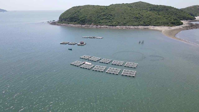 Quảng Trị: Người nuôi hải sản trên biển Hòn La thiệt hại nặng do bão số 5- Ảnh 2. Quảng Trị: Người nuôi hải sản trên biển Hòn La thiệt hại nặng do bão số 5- Ảnh 2.