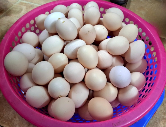 Người phụ nữ phát trứng, hoa quả, nước miễn phí cho người xem diễu binh: 'Tôi sẽ làm nhiều thêm gấp 3 lần nữa'- Ảnh 4. Người phụ nữ phát trứng, hoa quả, nước miễn phí cho người xem diễu binh: 'Tôi sẽ làm nhiều thêm gấp 3 lần nữa'- Ảnh 4.