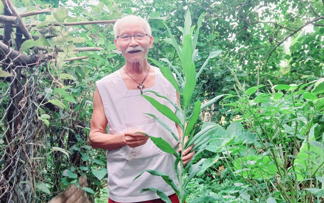 Lương y miệt mài trồng cây thuốc quý tặng bệnh nhân nghèo- Ảnh 2. Lương y miệt mài trồng cây thuốc quý tặng bệnh nhân nghèo- Ảnh 2.