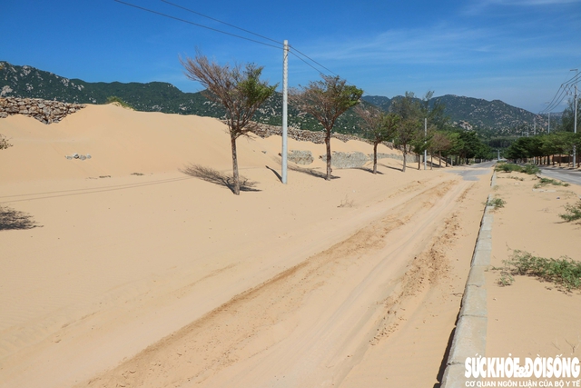 'Núi cát' tràn ra giữa đường ven biển ở Khánh Hoà- Ảnh 1. 'Núi cát' tràn ra giữa đường ven biển ở Khánh Hoà- Ảnh 1.