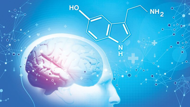 Trầm uất – Kẻ phá hoại thầm lặng trong môi trường công sở- Ảnh 2.